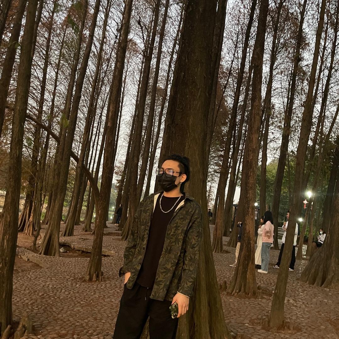 老野