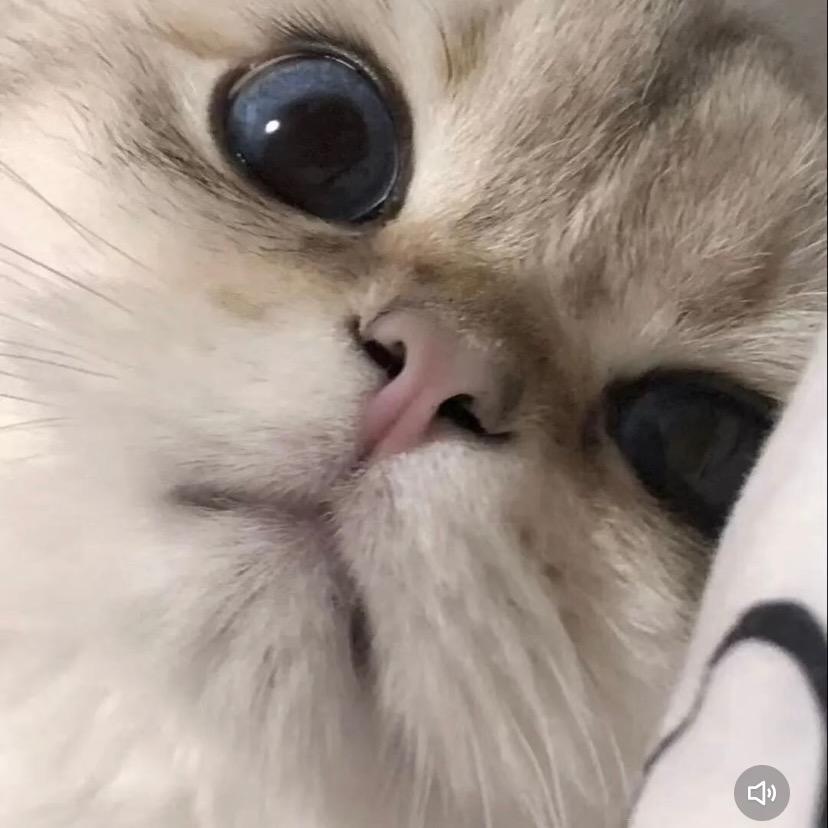 55355208495