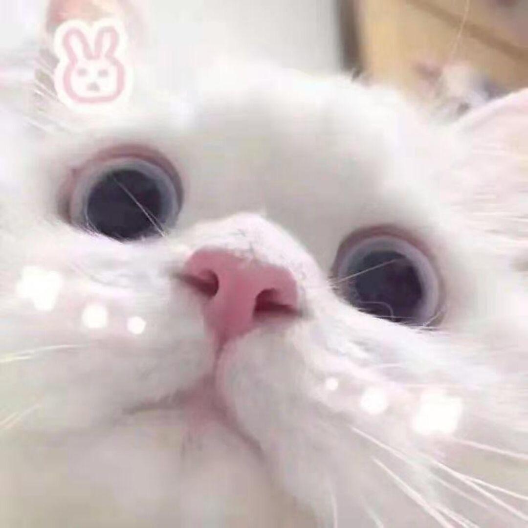 我是大帅哥