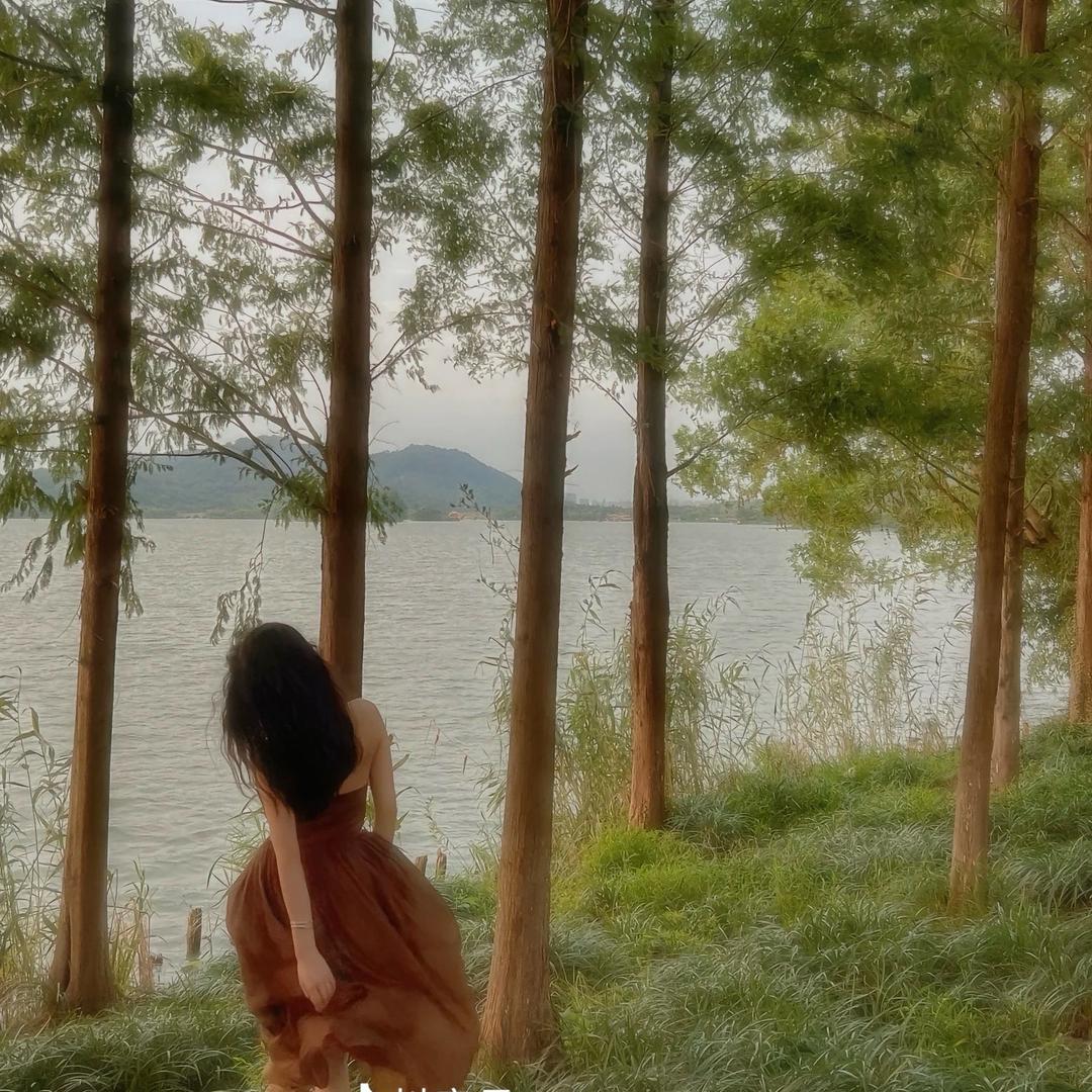 成都晶光园林-