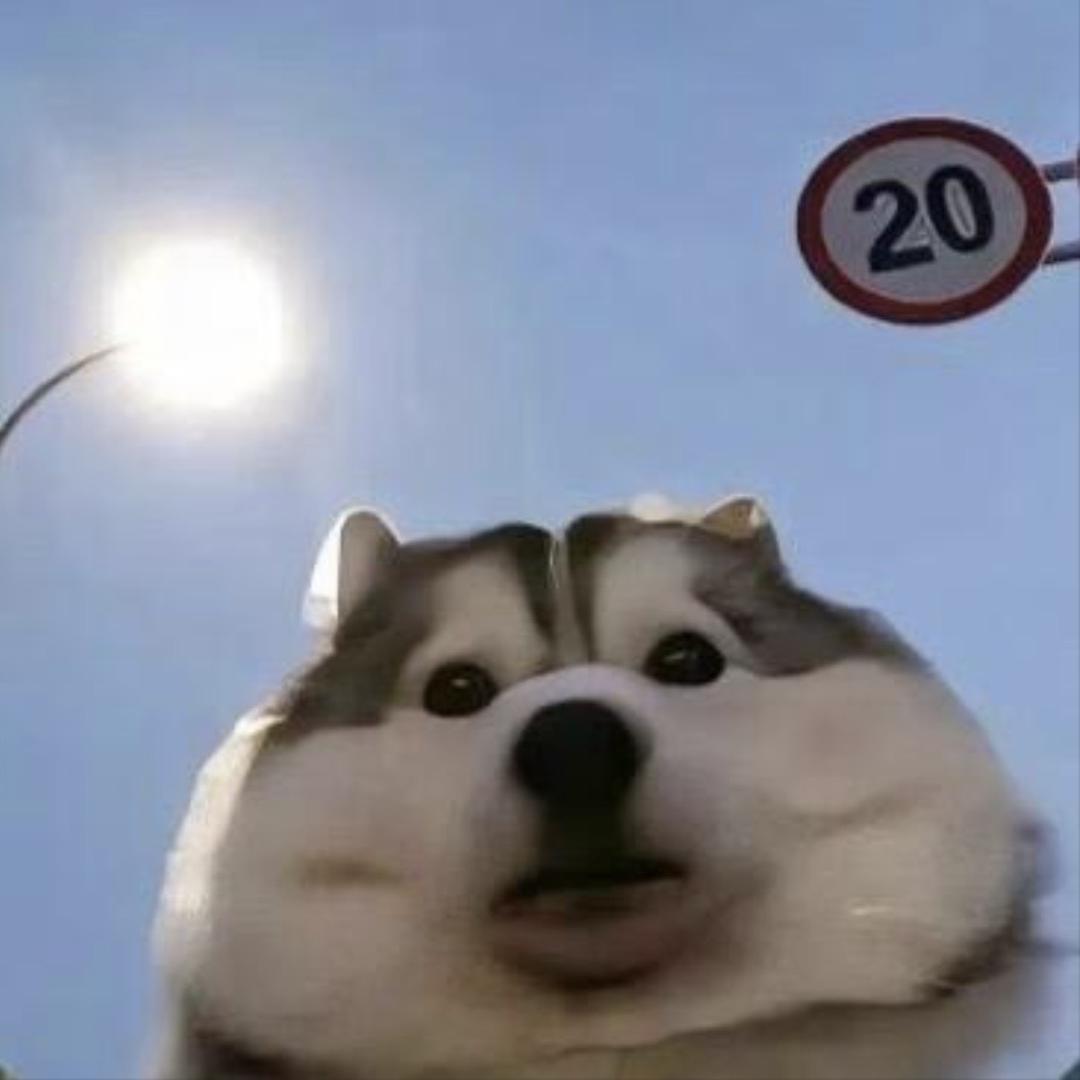 你是我最珍贵的钻石