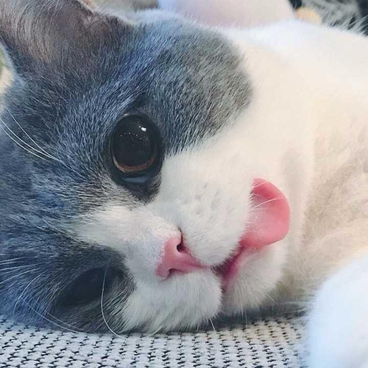 一一、