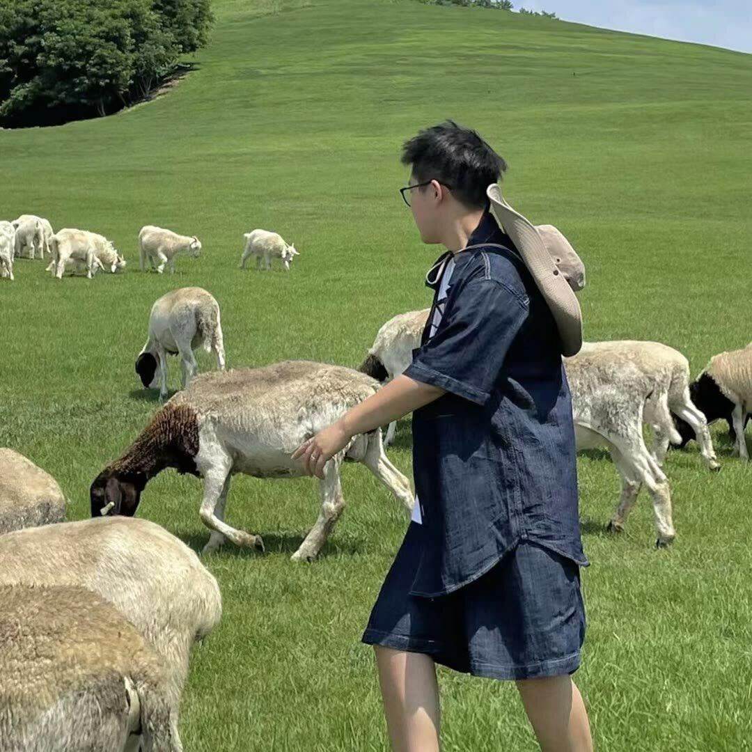 95号汽油.