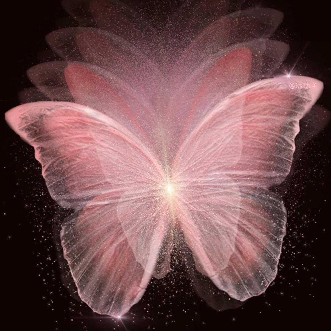 ღ᭄ꦿ前程꧔᭄似锦᭄