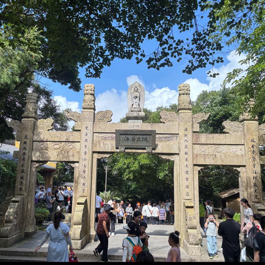 遗忘🐬