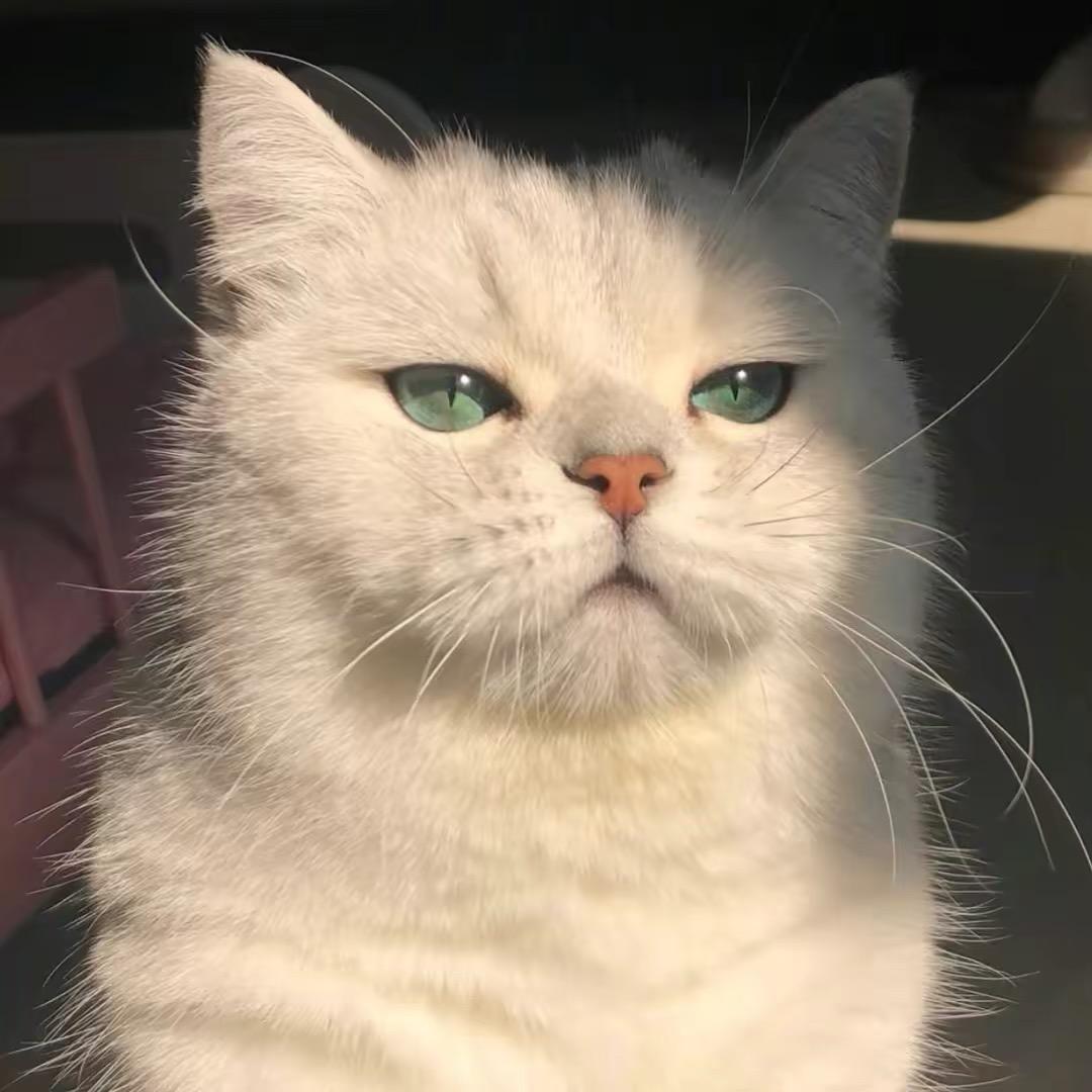 网络猫瘾症候群