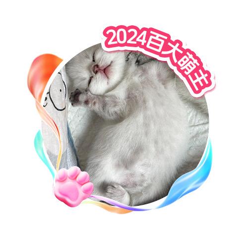 终南山喵