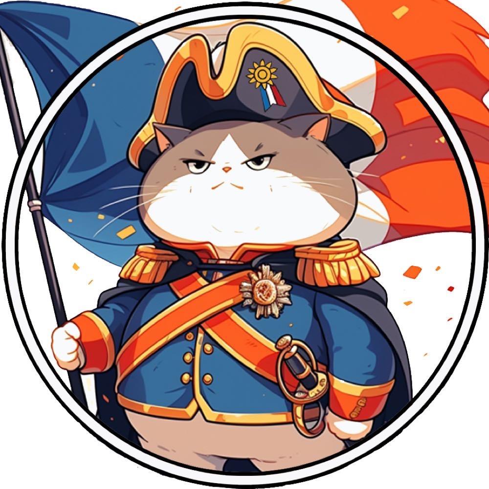 法兰西的小法师