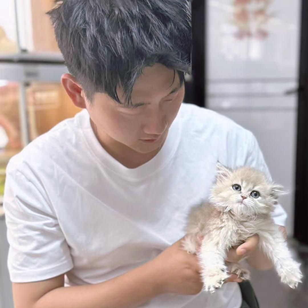 叁虎家的猫