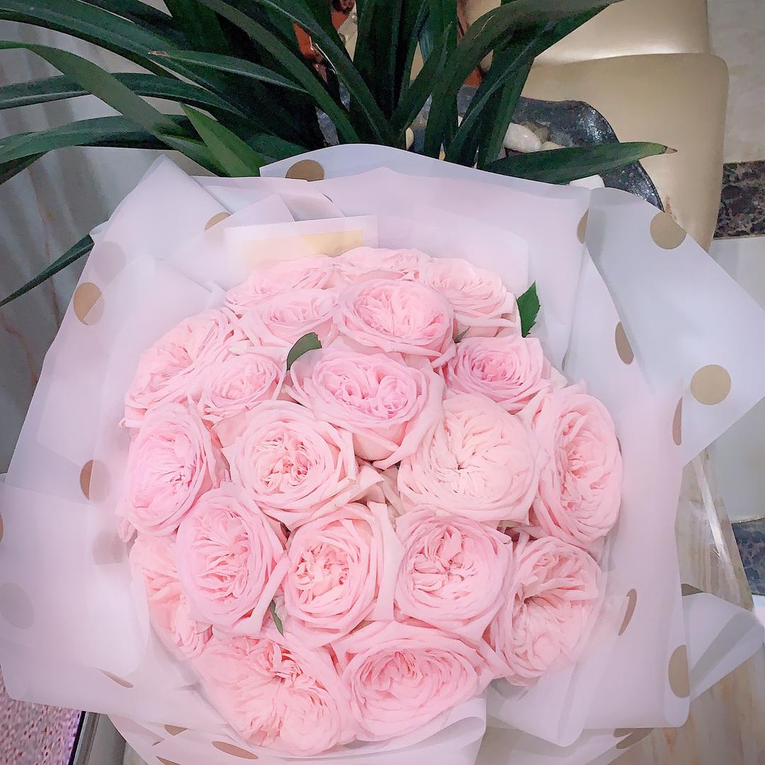 ⭐夏天♡优选🌸