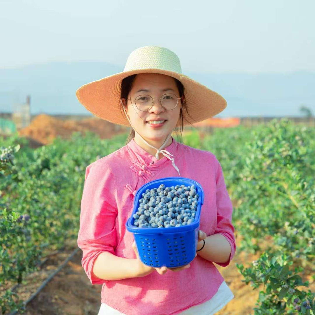 土哆哆霞姐小黄姜板栗
