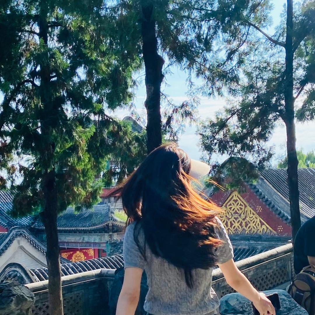 香菜呢