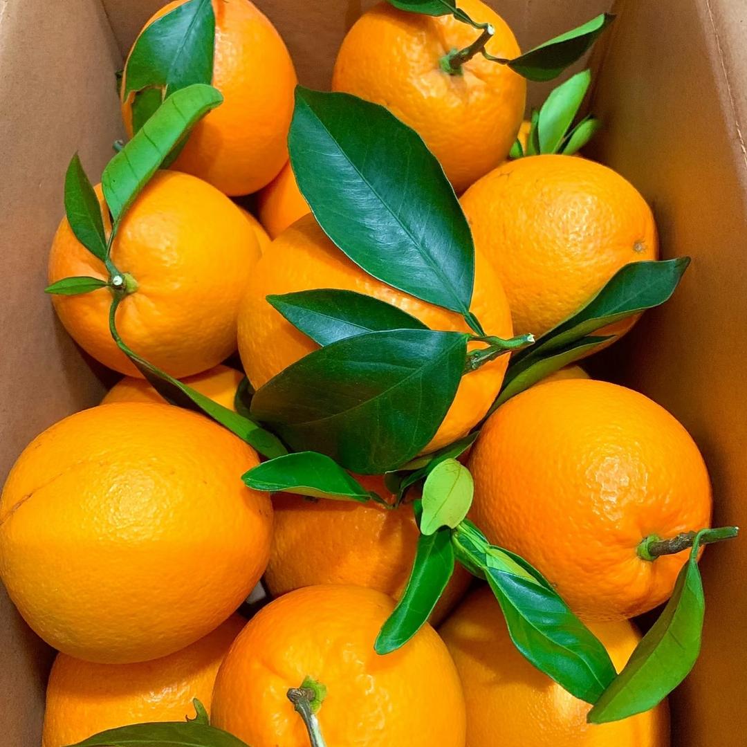 赣南脐橙鲜果多多