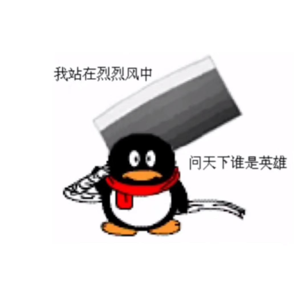 开朗的网友
