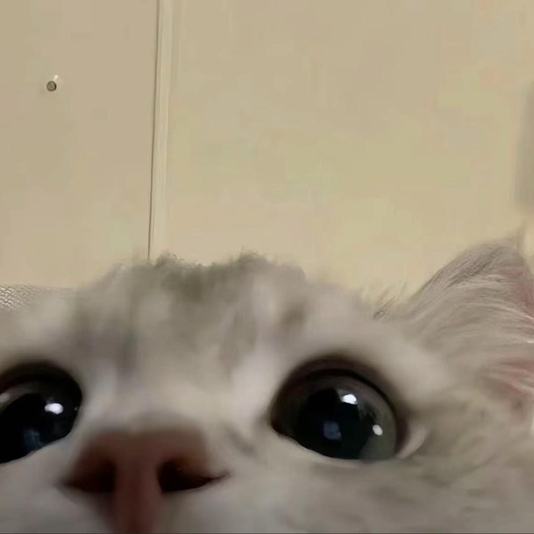 Ren