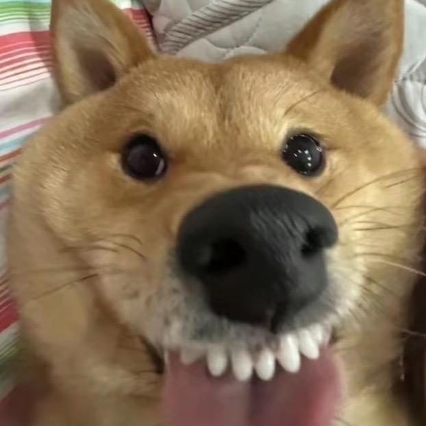 安静一下