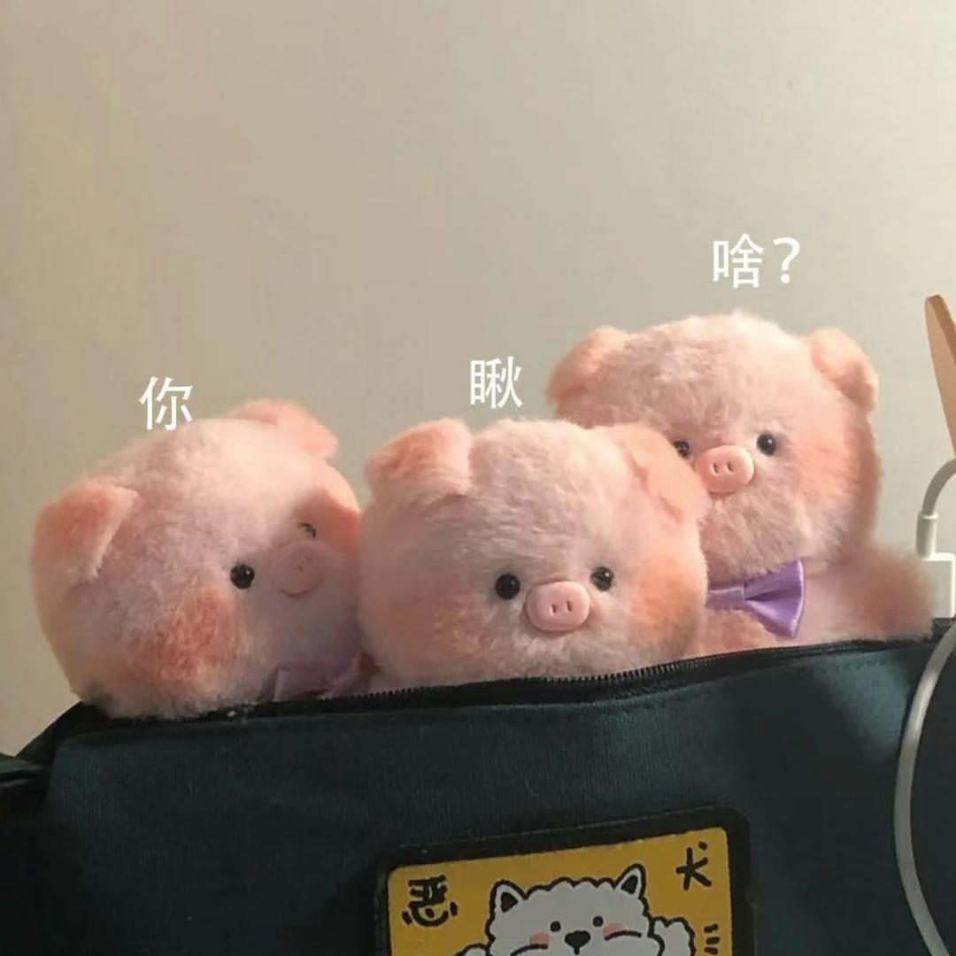 *洋洋老师放学啦🦥（四川嫡长女在努力）