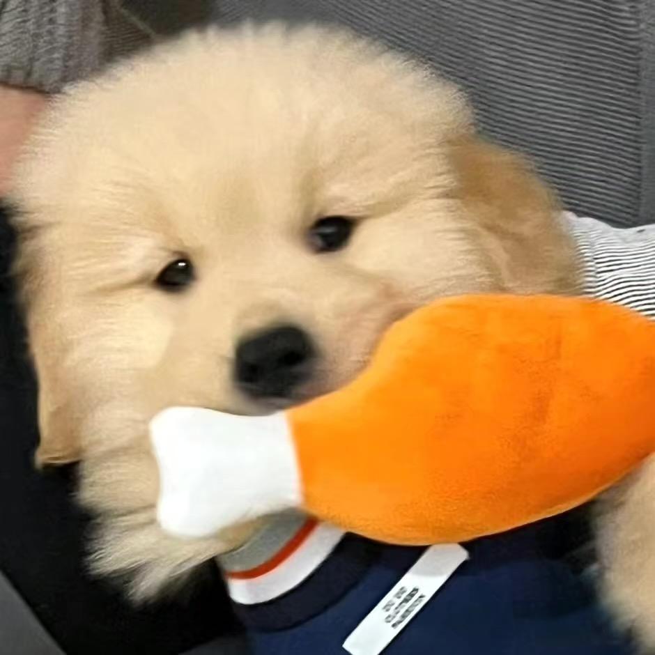 @乐乐