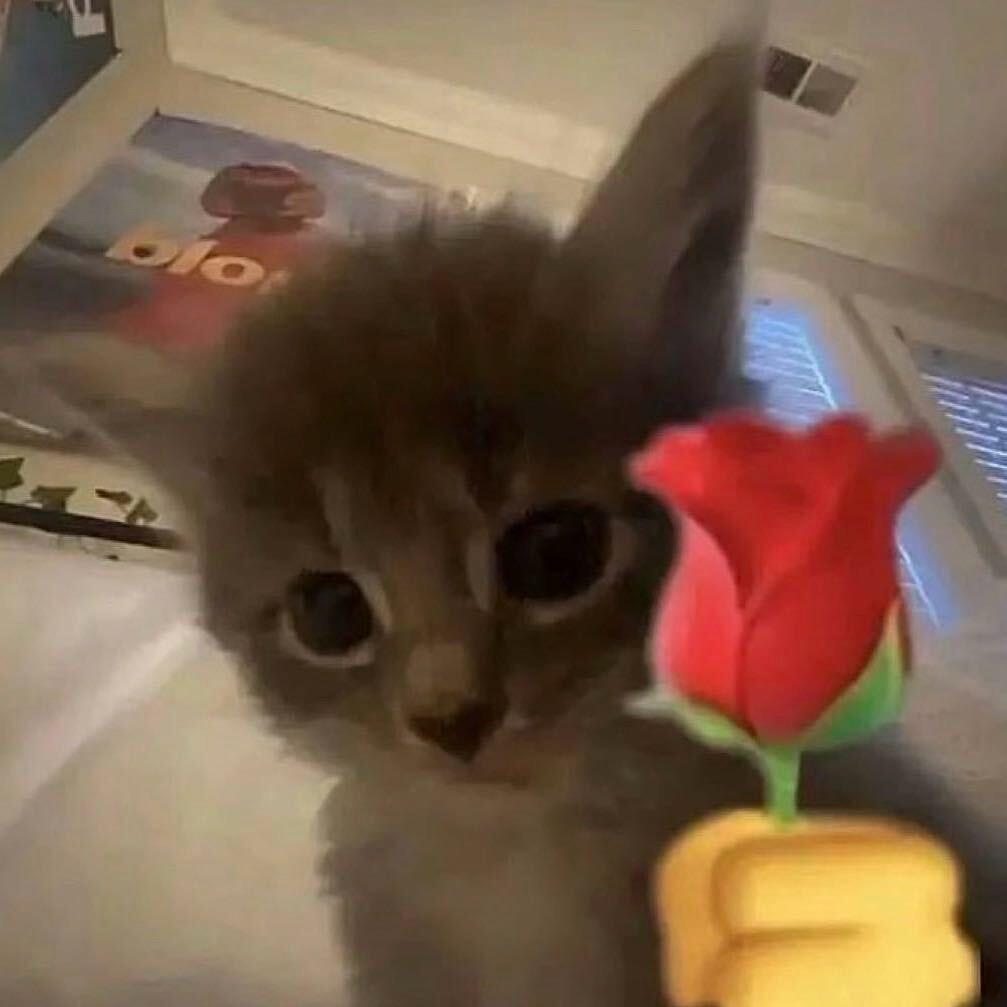 91探花郎大先生