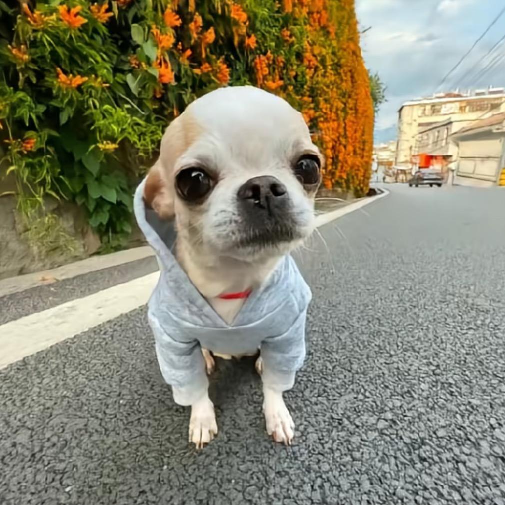 讨厌周一