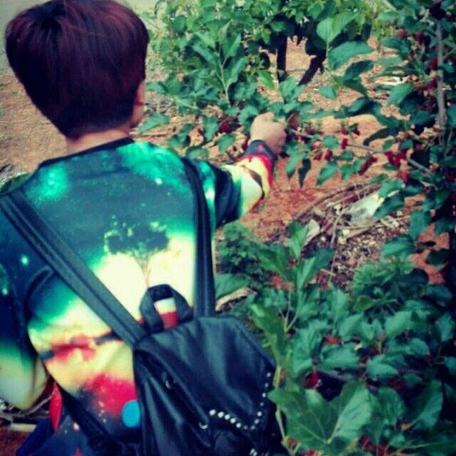 少几分心动🍃