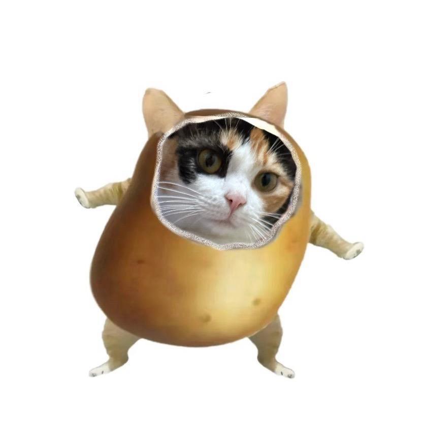 一坨洋芋🥔