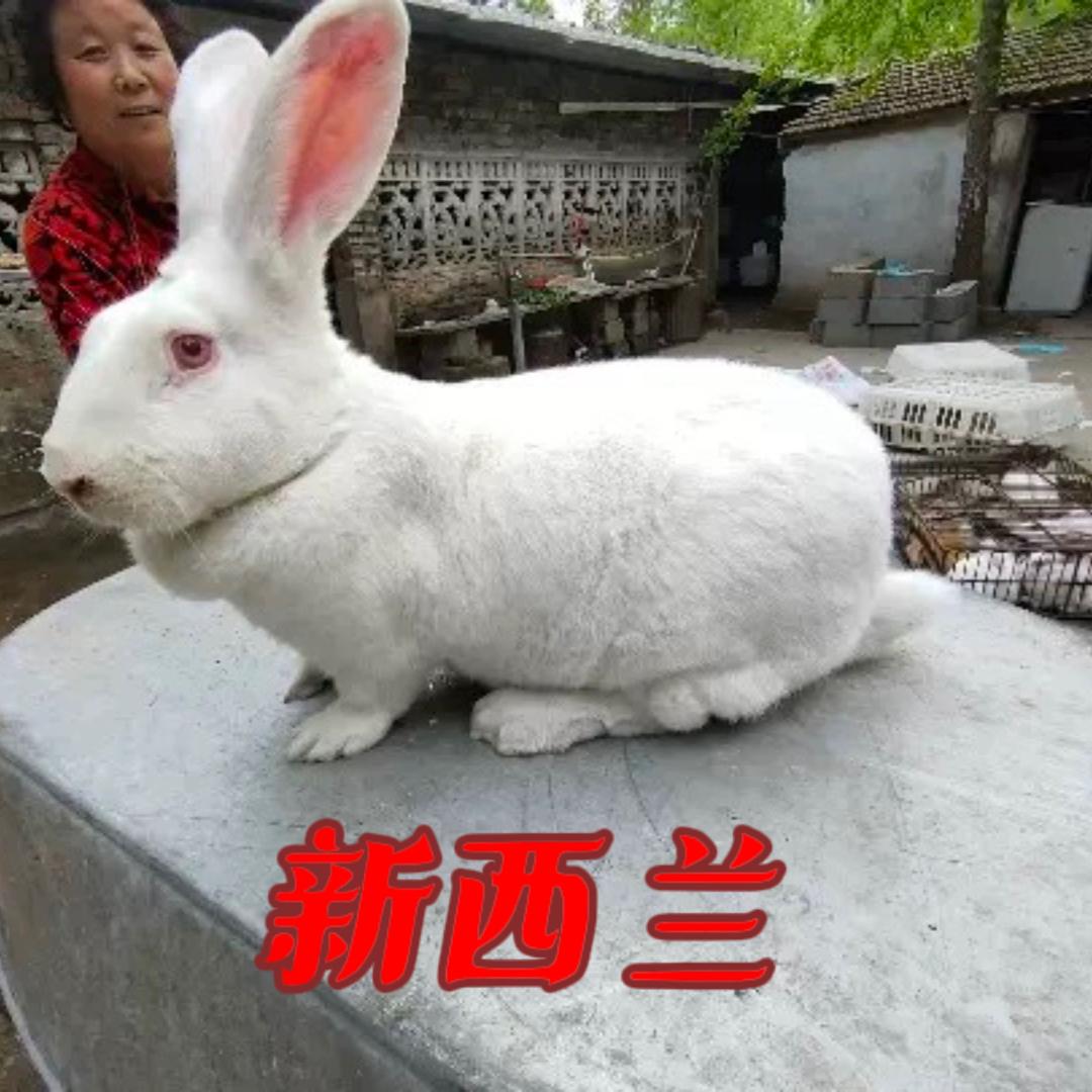 尊才优选2