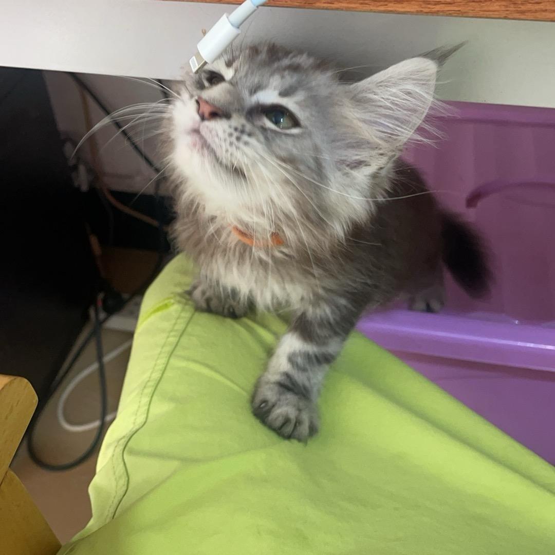 学历提升资格培训（单招，高端就业）