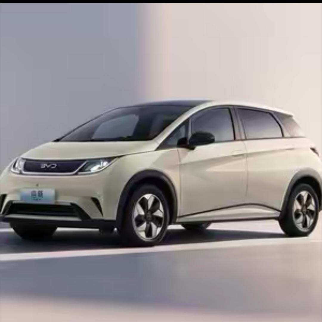 车价汽车 海豚讲解员