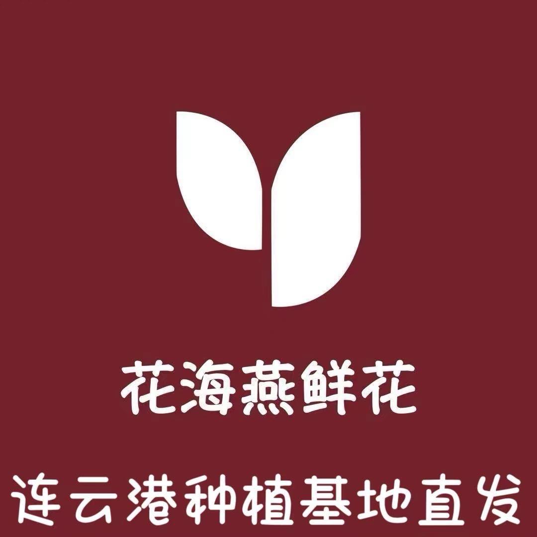 江苏连云港 花海燕鲜花基地
