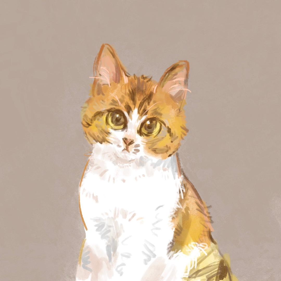 猫咪工作对调信息