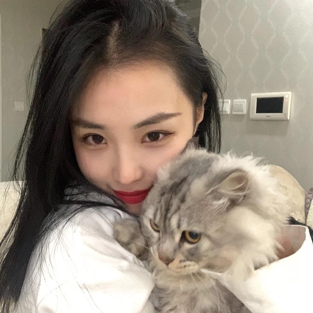是喵喵不是猫🐱