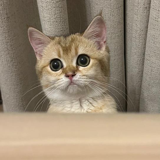 嘴的炼狱