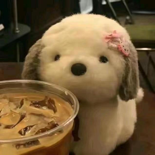 饱饱.