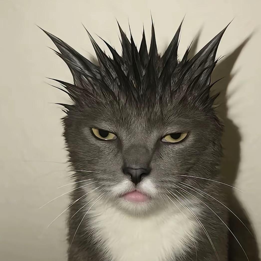 同禾电竞考官阿鼠