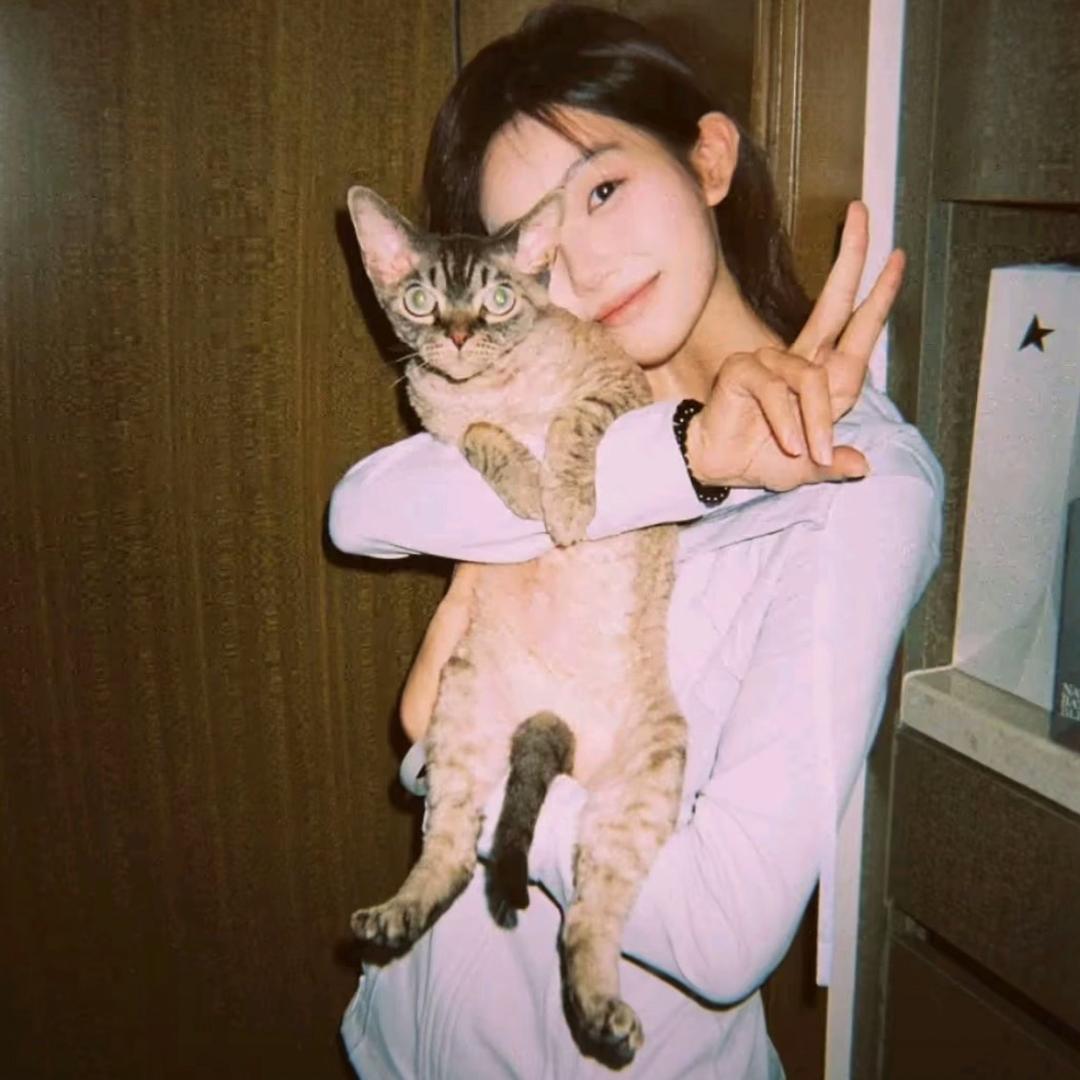 有头发的光头强