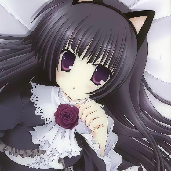 幼稚稚（黑猫控(｡ì _ í｡)