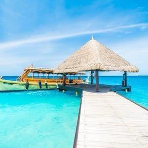 机智的魔法熊猫