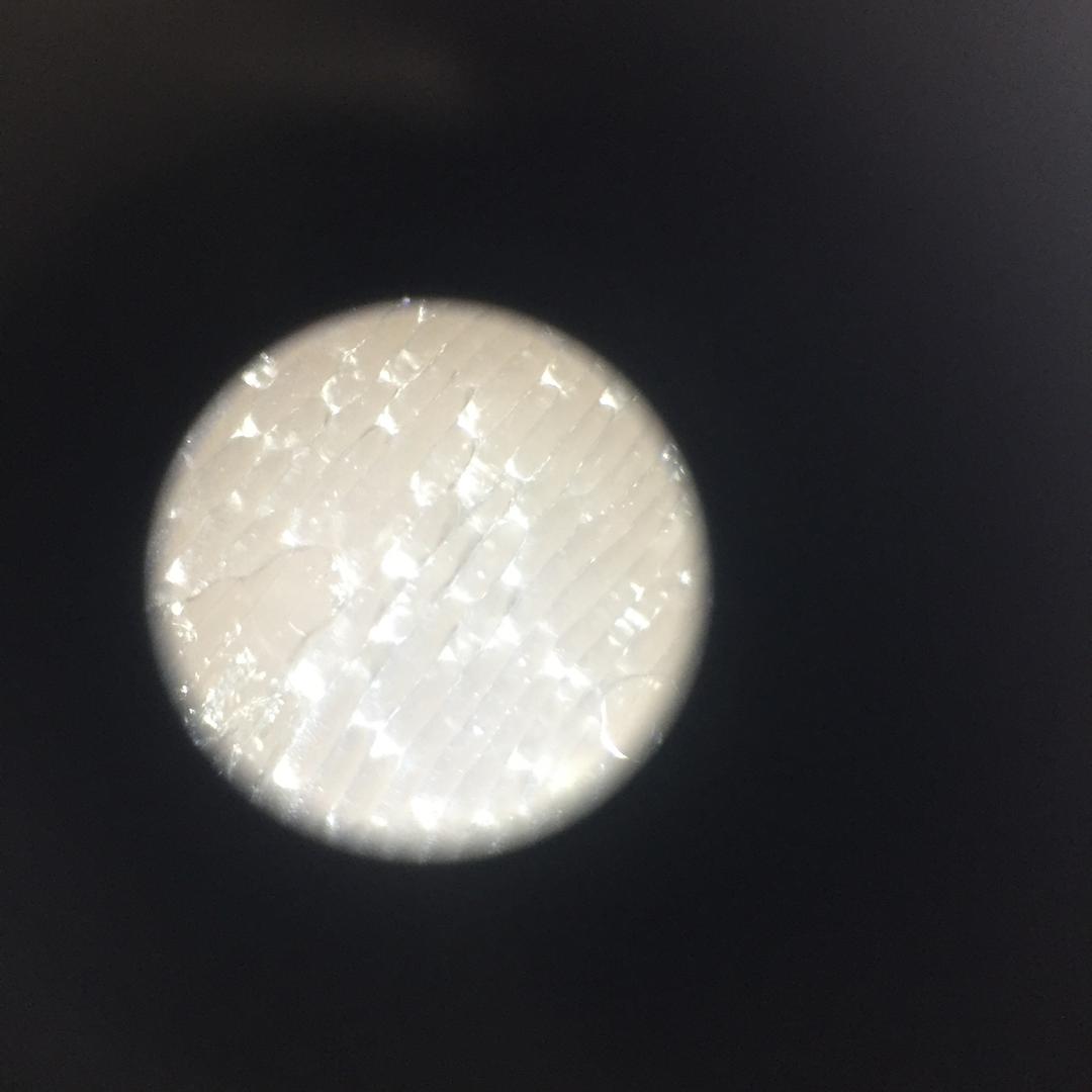 一心向道，练气入门