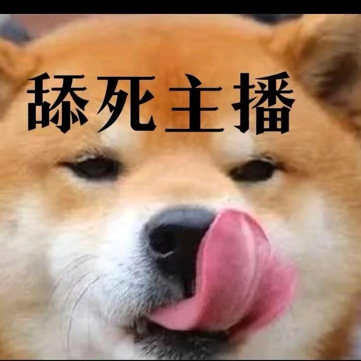 苏月婵的专属王者队友