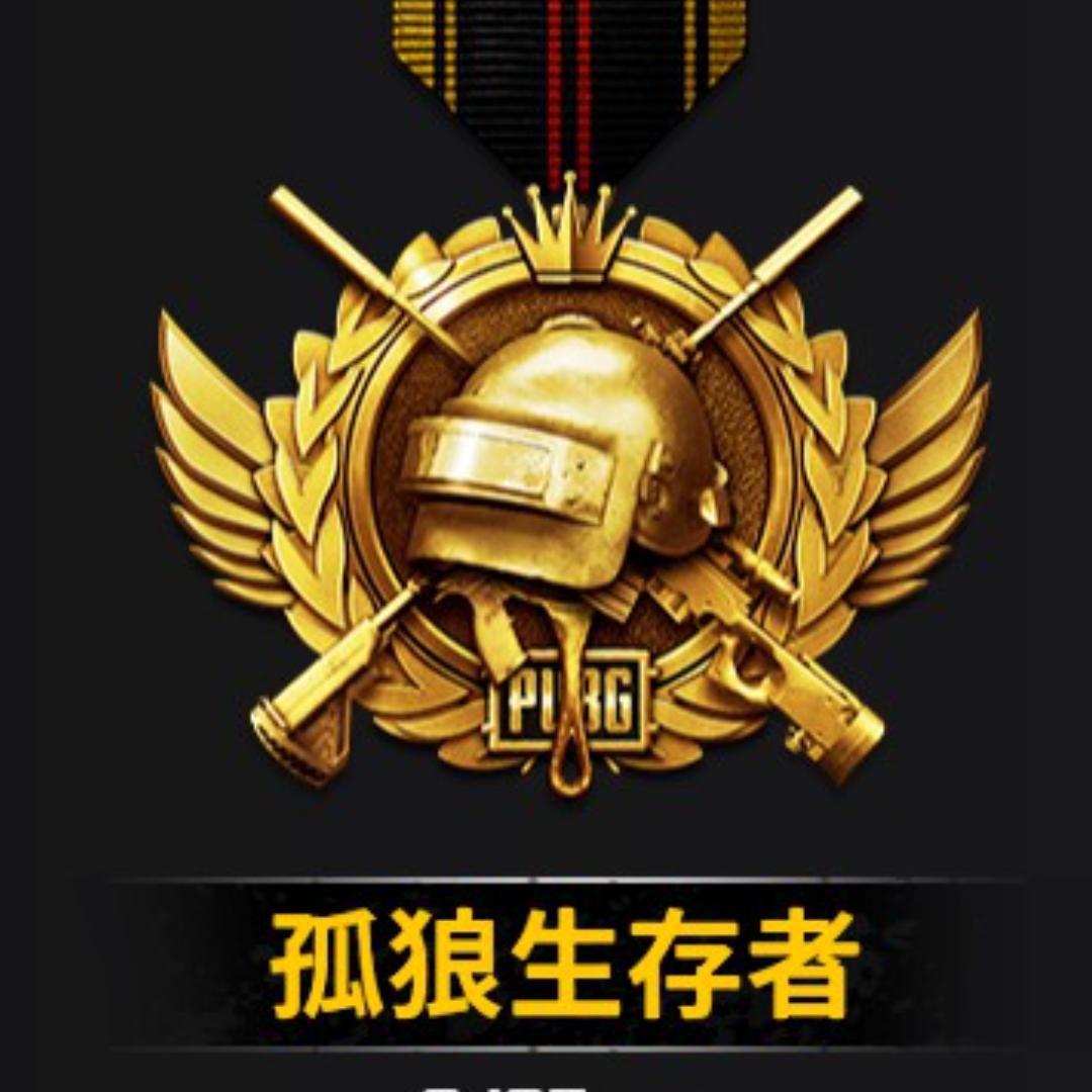 路虎哥董事局