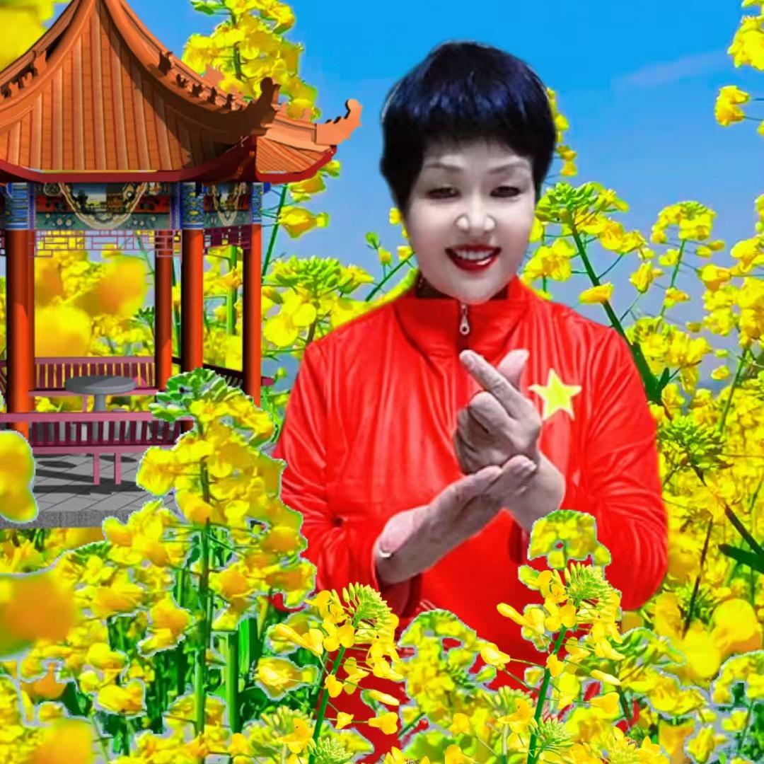 岁月静好🇨🇳手势舞
