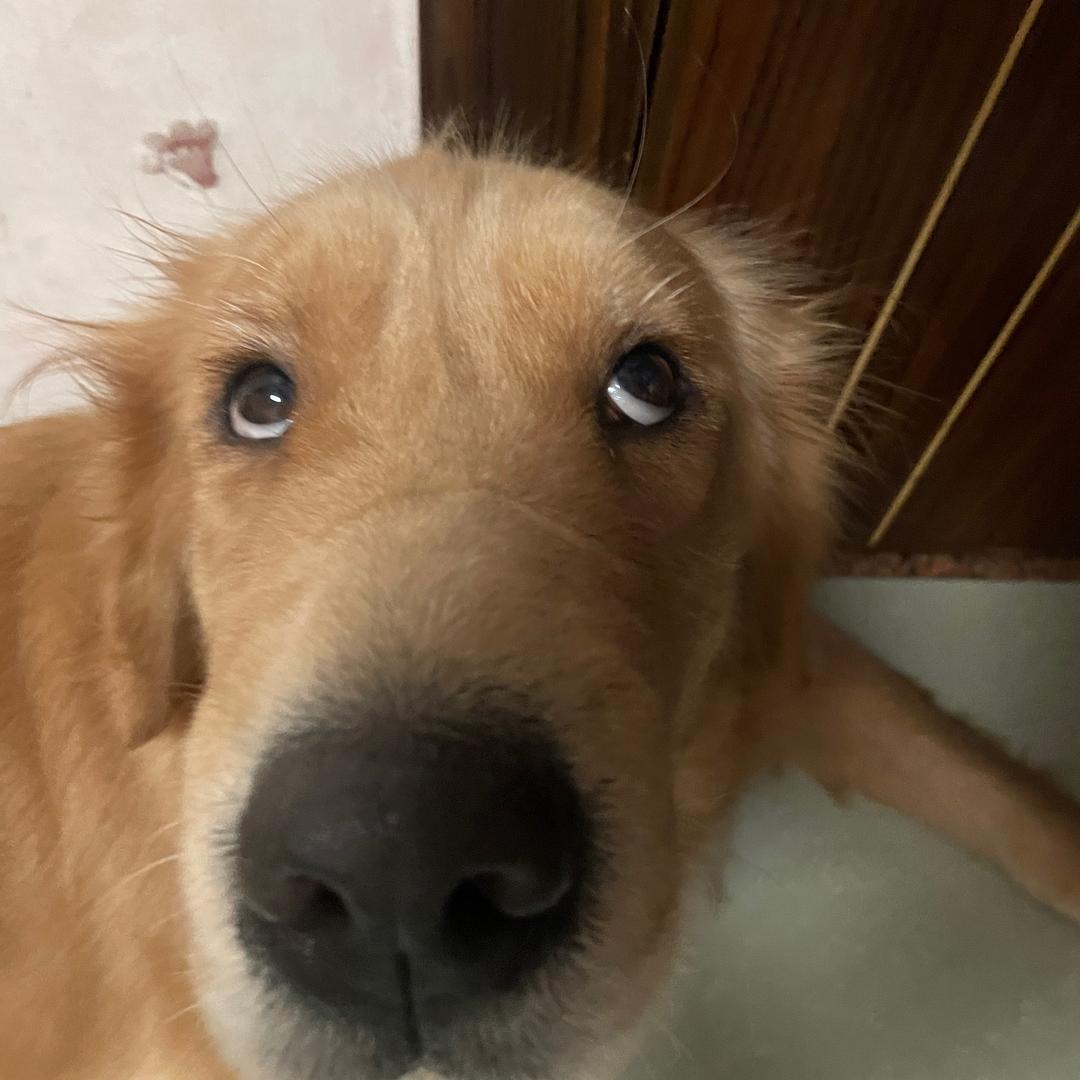 🦴