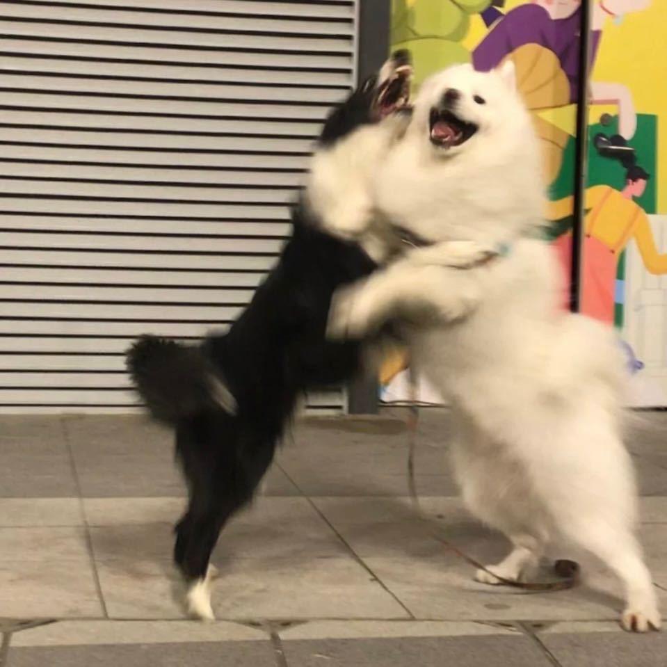 鬼椒辣女人