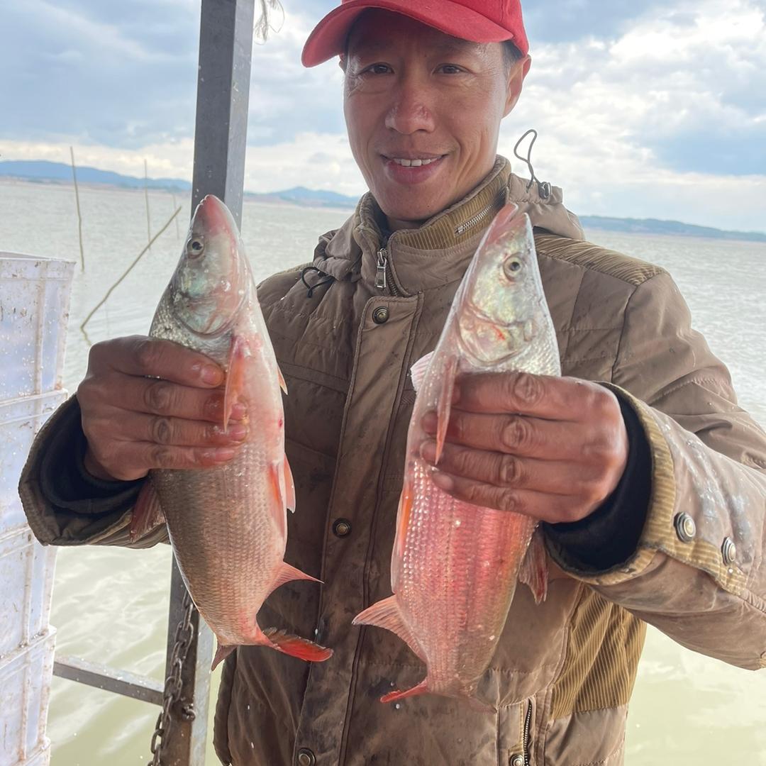 松花江小宝
