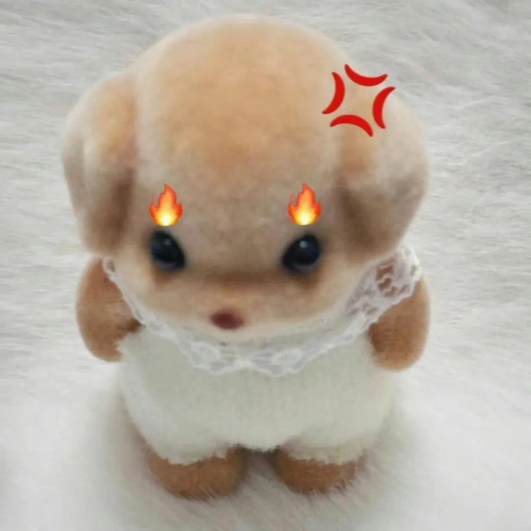 落日秋千SUNSETSWING🥕