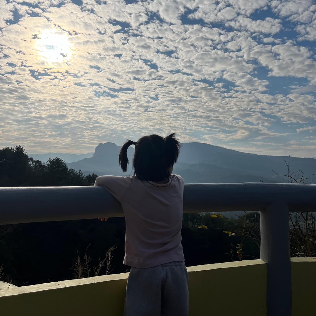 🌈原生态