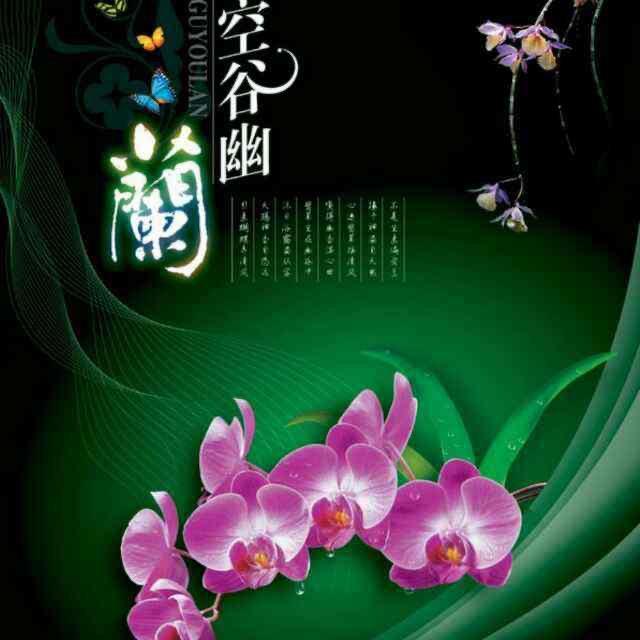 幽兰🌹