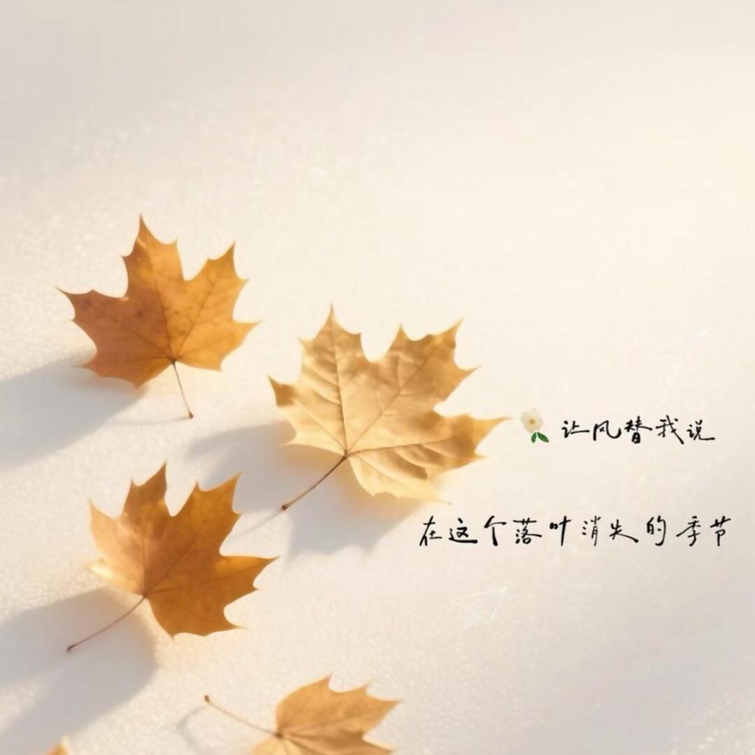 静心～