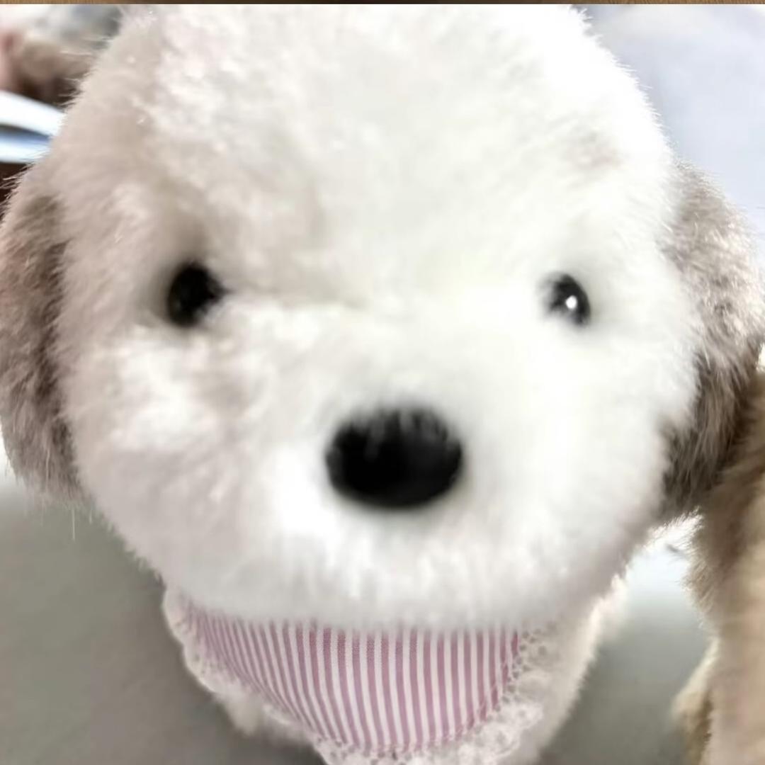 毛 毛